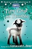 Tiny goat in trouble