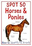 Spot 50 : Horses & ponies
