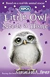 Little owl needs a home